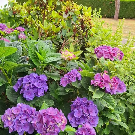 Maison De Camp. Plain-pied Avec Jardin, 2 Chambres, Terrasse Couverte, Proche Gerardmer Et Saint-die - Fr-1-589-386 בית נופש